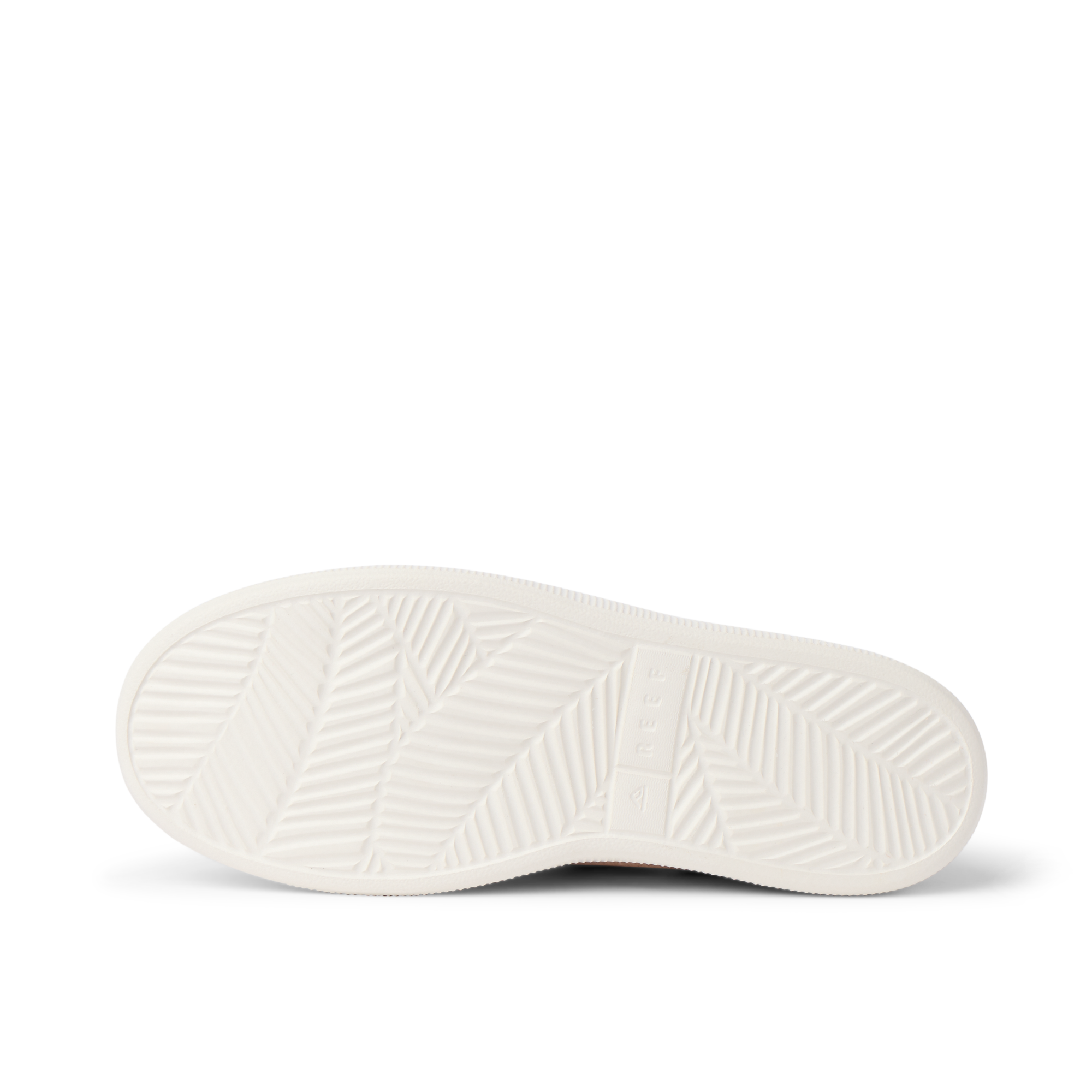 Reef Neptune - Image 8