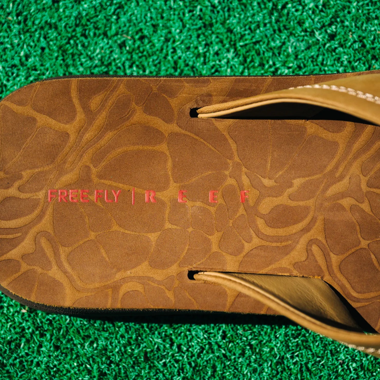 Free Fly X Ojai - Image 4