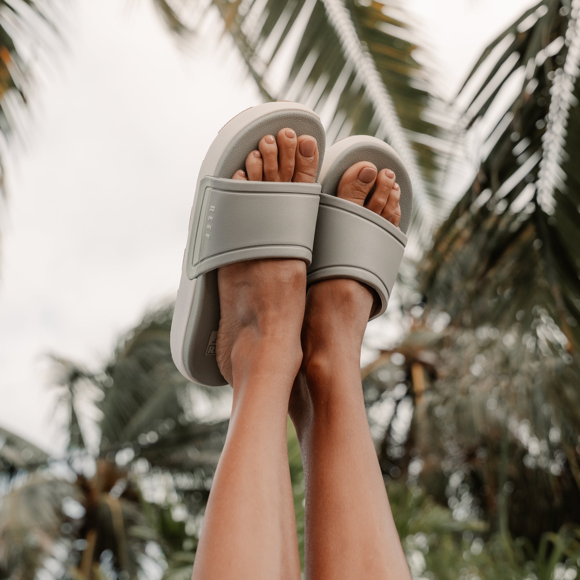 Alternative view of Sydnee Cutback Low